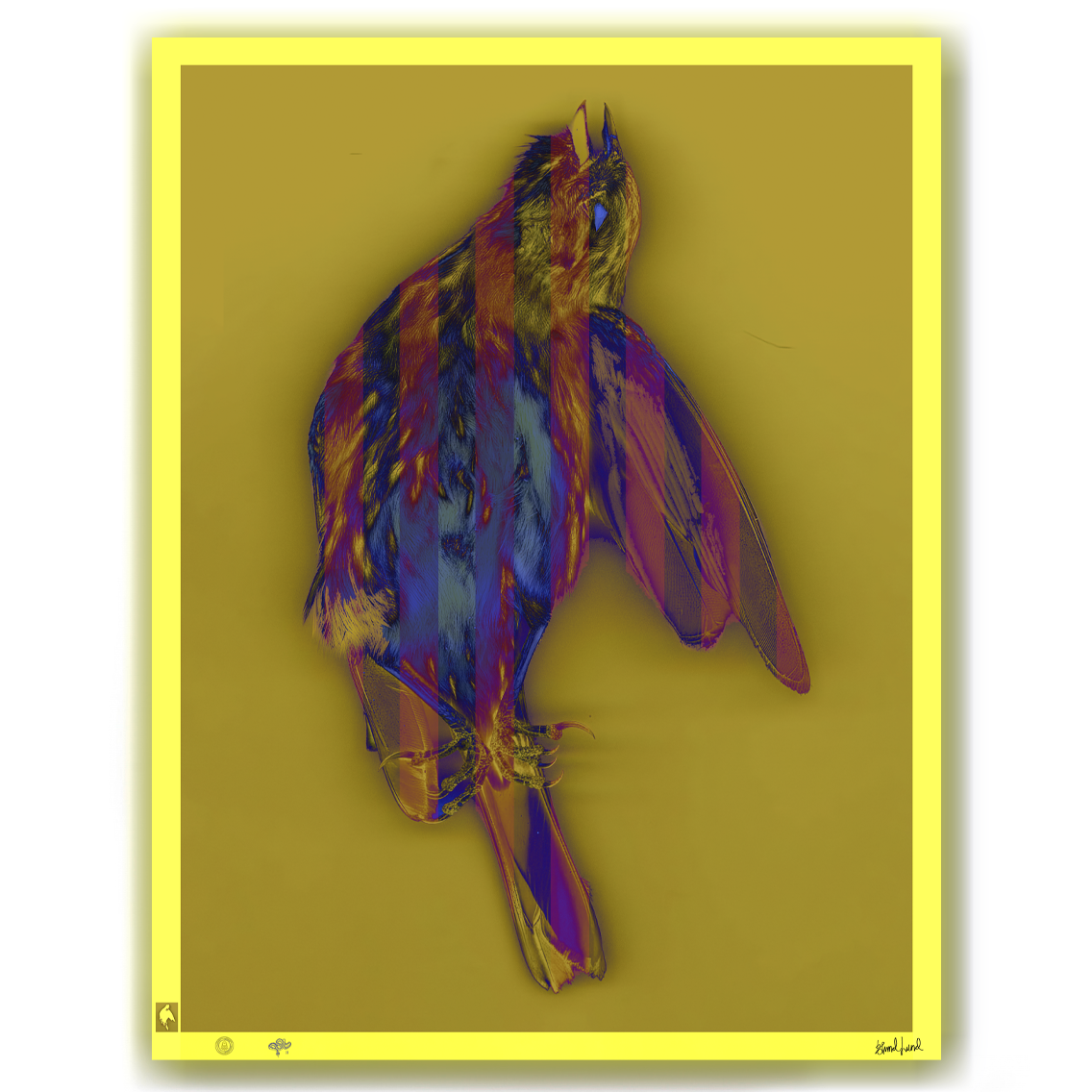 BLUNDLUND FINE ART PRINT - GULSPARV II / LIMITED EDITION