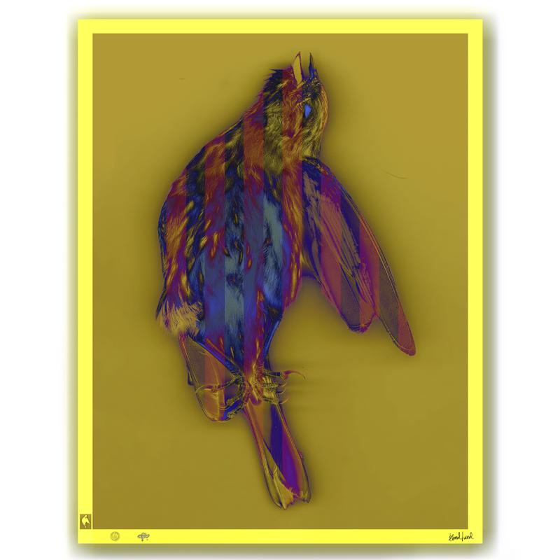 BLUNDLUND FINE ART PRINT - GULSPARV II / LIMITED EDITION