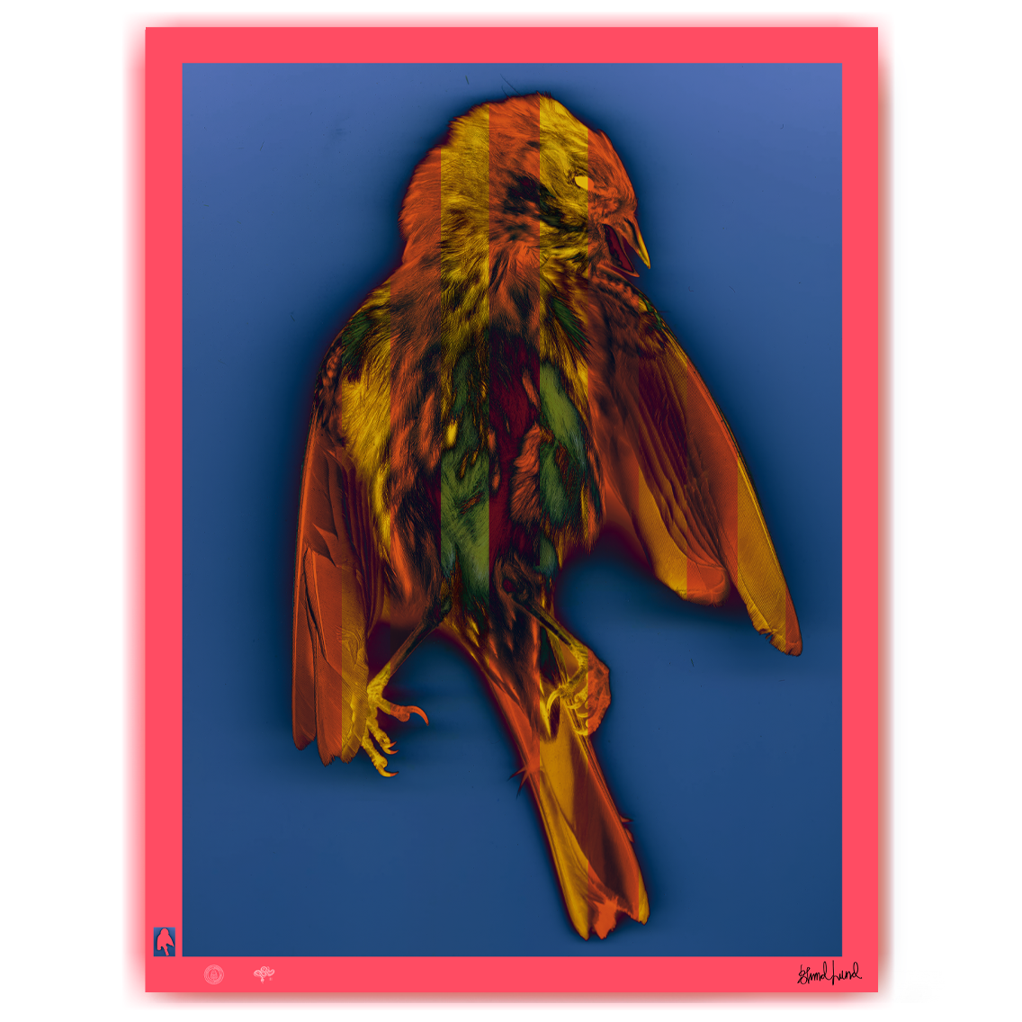 BLUNDLUND Gulsparv I – Limited Edition Fine Art Print