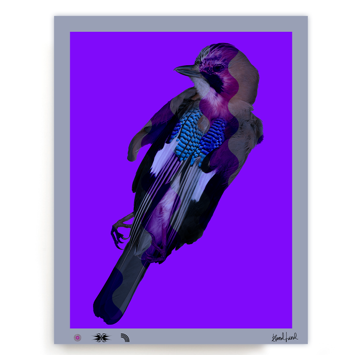BLUNDLUND FINE ART PRINT - NÖTSKRIKA I / LIMITED EDITION