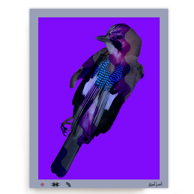 BLUNDLUND FINE ART PRINT - NÖTSKRIKA I / LIMITED EDITION