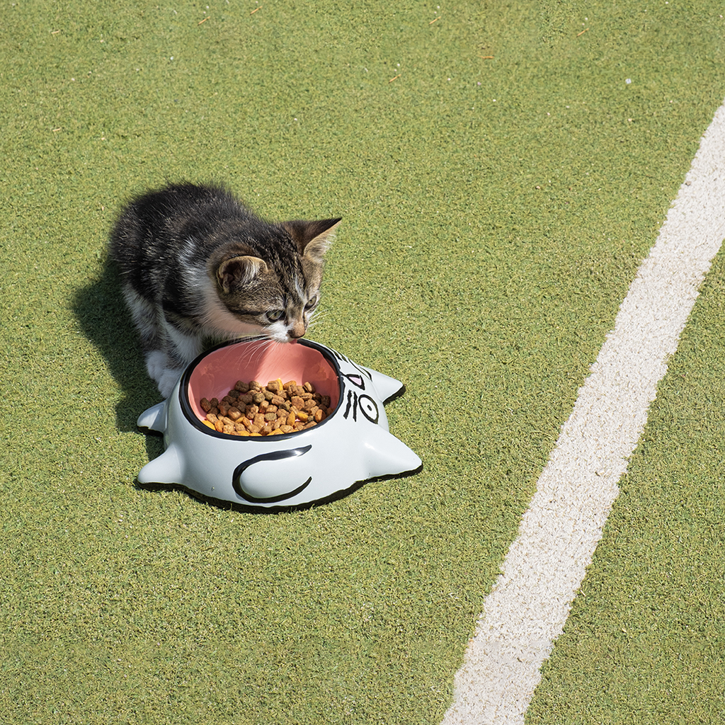 JEAN JULLIEN - CAT BOWL / HOME STUDYO