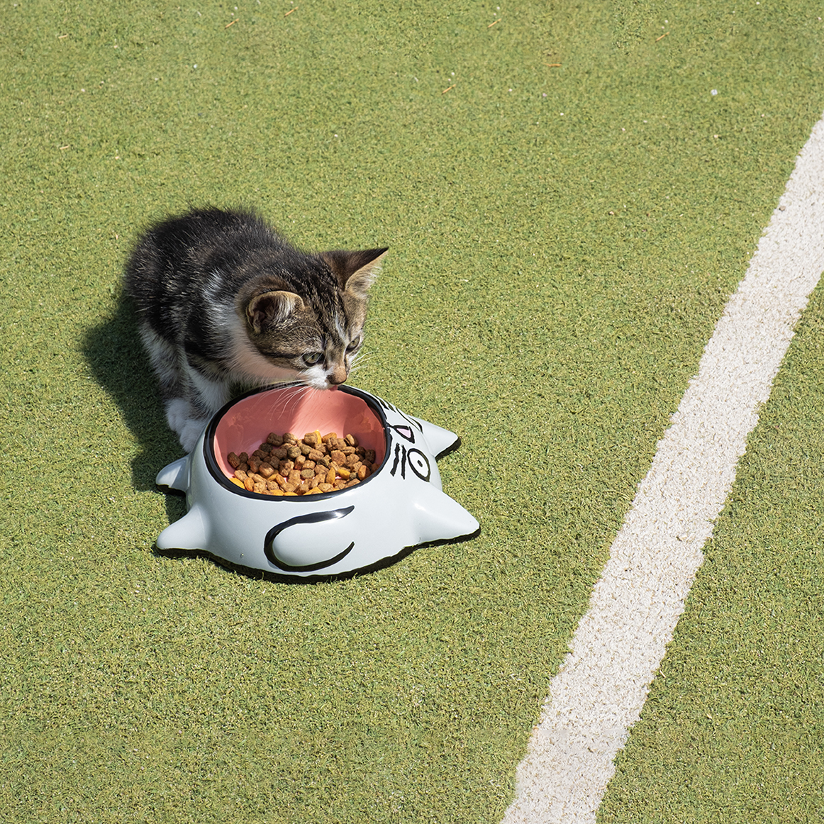 JEAN JULLIEN - CAT BOWL / HOME STUDYO