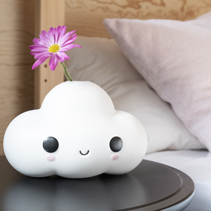 FRIENDSWITHYOU - LITTLE CLOUD X CASE STUDYO