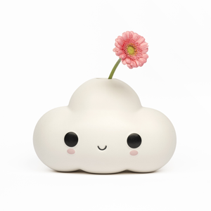 FRIENDSWITHYOU - LITTLE CLOUD X CASE STUDYO