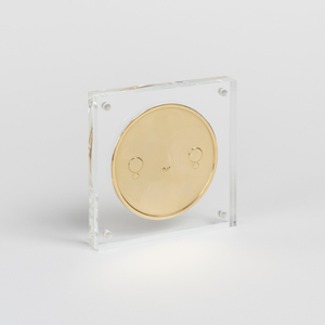 LUCKY COIN - FRIENDSWITHYOU
