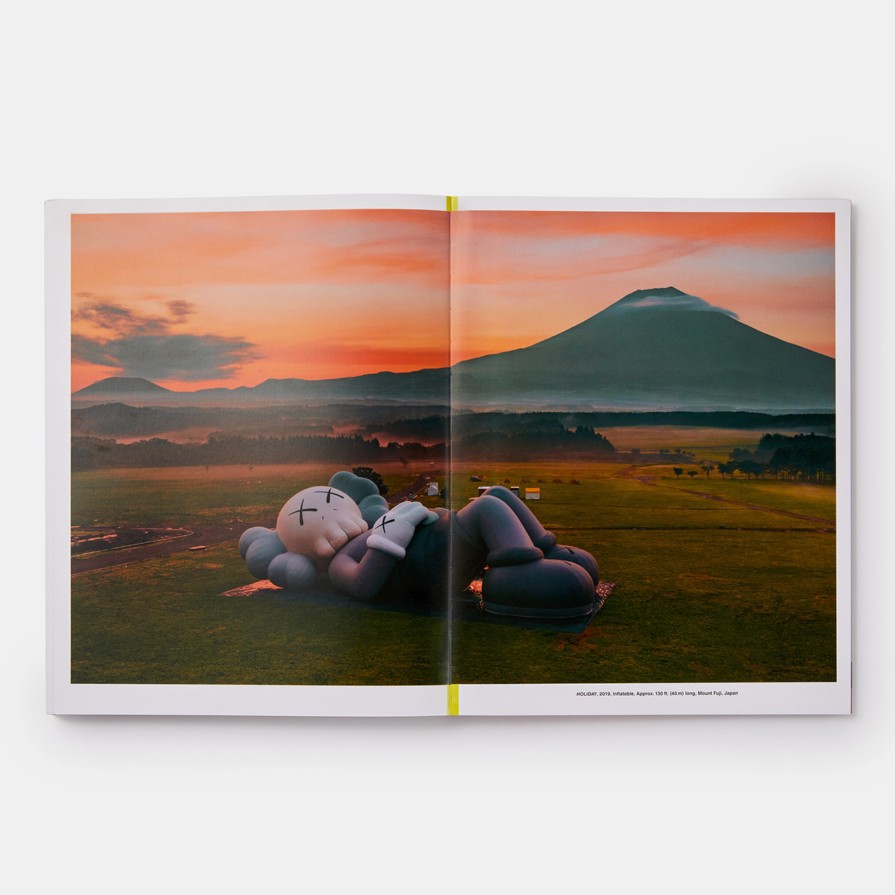 KAWS: WHAT PARTY - BLACK ON PINK EDT / PHAIDON BOOKS