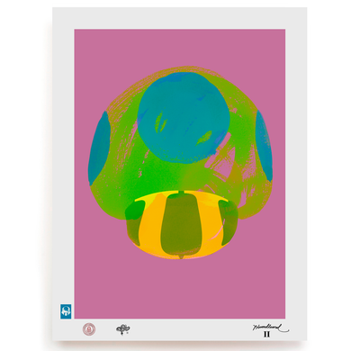 BLUNDLUND.CO.,LTD FINE ART PRINT - NIJCE GREEN PINK / LIMITED EDITION OF 250