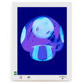 BLUNDLUND.CO.,LTD FINE ART PRINT - NIJCE LILAC BLUE / LIMITED EDITION OF 250