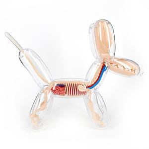 JASON FREENY / BALLOONDOG - SIZE LARGE