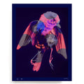 BLUNDLUND.CO.,LTD FINE ART PRINT - RÖDHAKE I / LIMITED EDITION