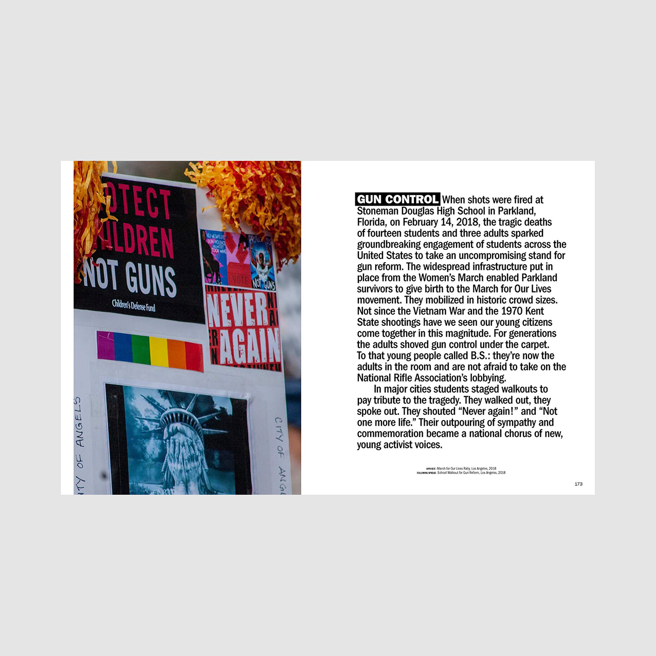 TISH LAMPERT - WE PROTEST, FIGHTING FOR WHAT WE BELIEVE IN / RIZZOLI