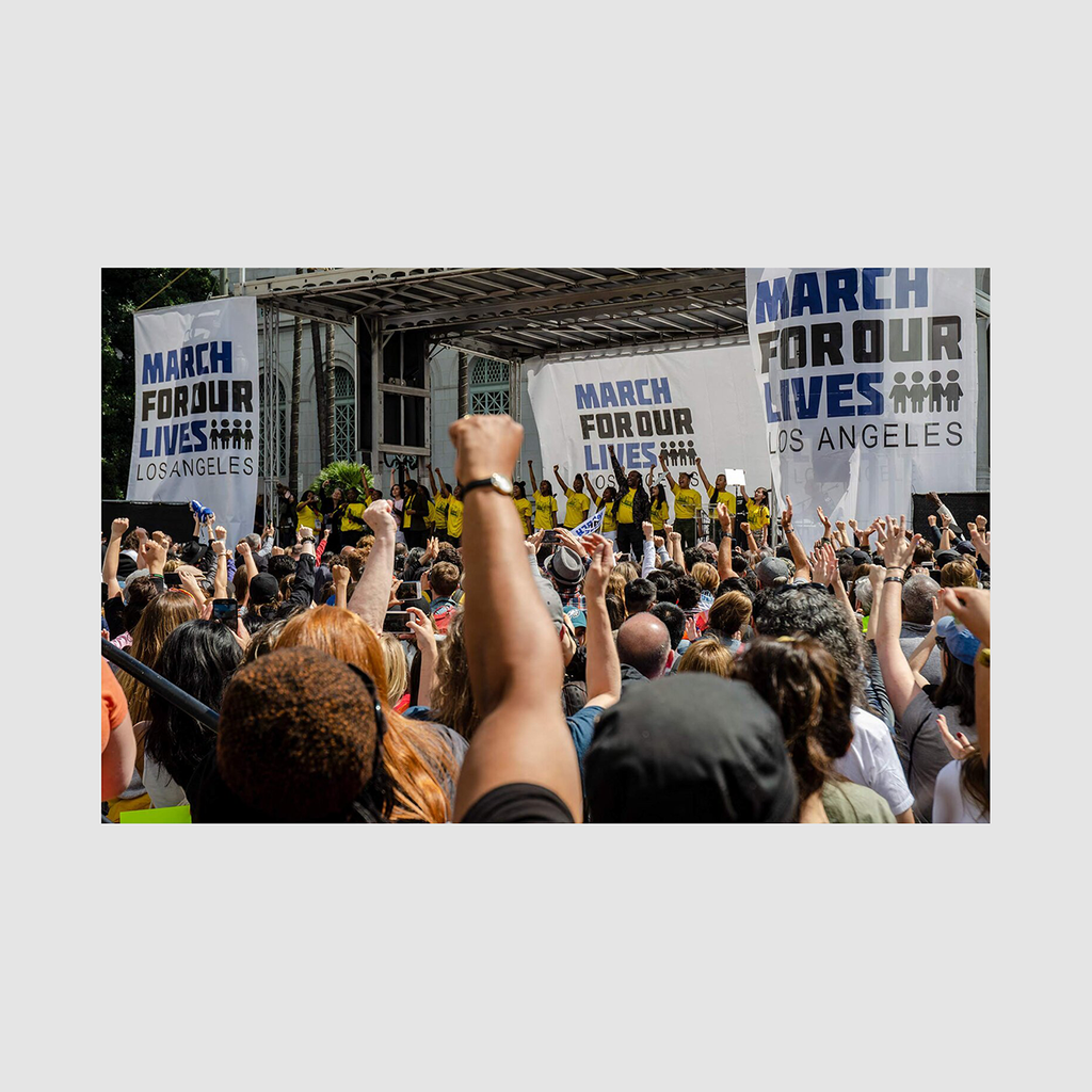 TISH LAMPERT - WE PROTEST, FIGHTING FOR WHAT WE BELIEVE IN / RIZZOLI