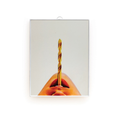 TOILETPAPER - MIRROR DRILL / SELETTI