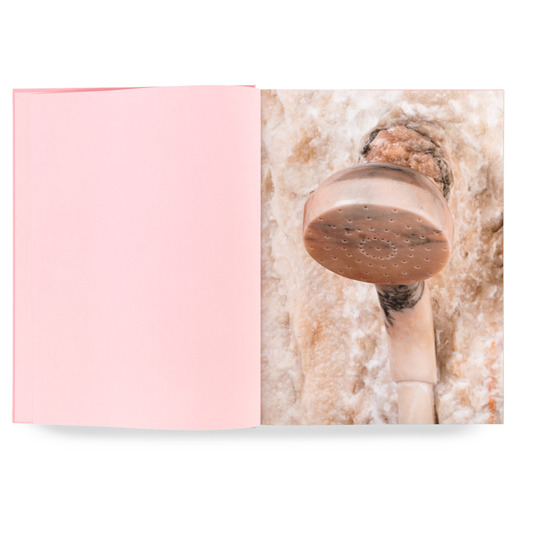 DANIEL DEWAR & GRÉGORY GICQUEL - ROSA AURORA / TRIANGLE BOOKS
