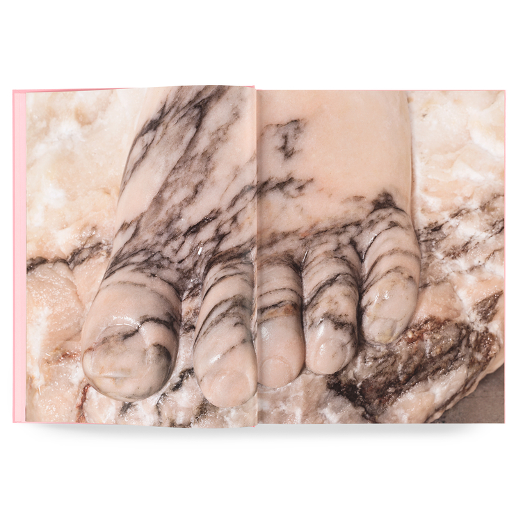 DANIEL DEWAR & GRÉGORY GICQUEL - ROSA AURORA / TRIANGLE BOOKS