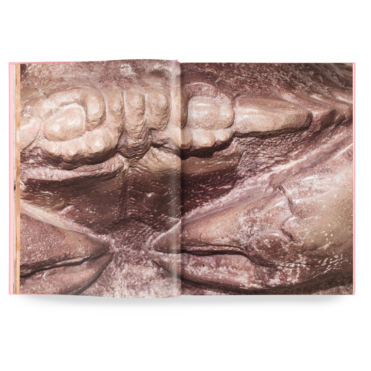 DANIEL DEWAR & GRÉGORY GICQUEL - ROSA AURORA / TRIANGLE BOOKS
