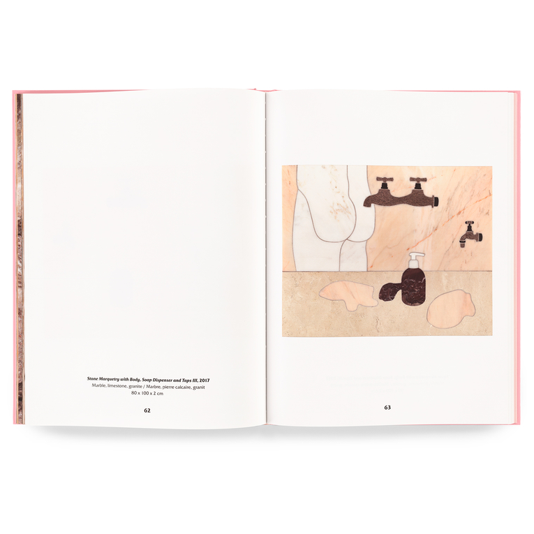 DANIEL DEWAR & GRÉGORY GICQUEL - ROSA AURORA / TRIANGLE BOOKS