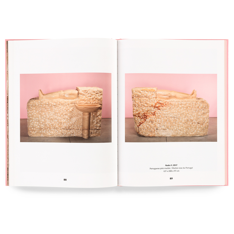 DANIEL DEWAR & GRÉGORY GICQUEL - ROSA AURORA / TRIANGLE BOOKS
