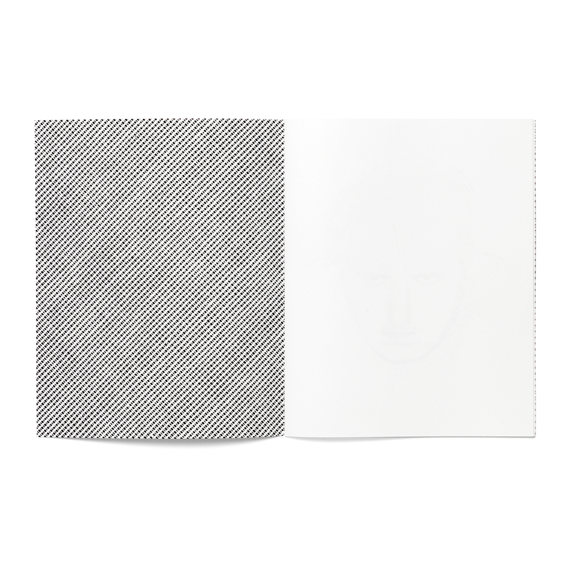 JOS DE GRUYTER & HARALD THYS - LES ÉNIGMES DE SAARLOUIS / TRIANGLE BOOKS