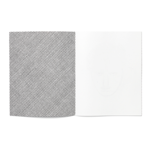 JOS DE GRUYTER & HARALD THYS - LES ÉNIGMES DE SAARLOUIS / TRIANGLE BOOKS