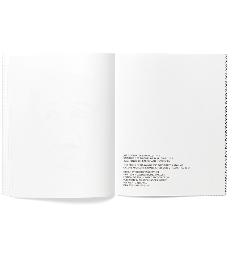 JOS DE GRUYTER & HARALD THYS - LES ÉNIGMES DE SAARLOUIS / TRIANGLE BOOKS