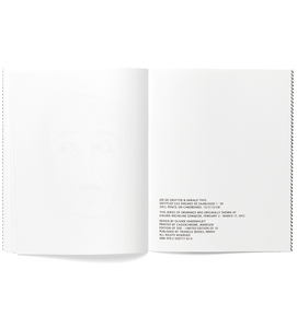 JOS DE GRUYTER & HARALD THYS - LES ÉNIGMES DE SAARLOUIS / TRIANGLE BOOKS