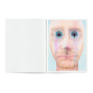 JULIEN MEERT - JULIEN MEERT / TRIANGLE BOOKS