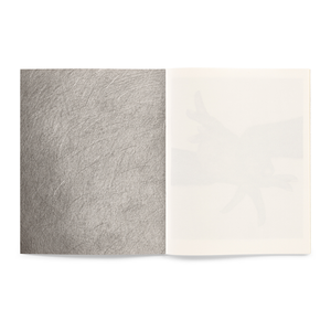 KARL HAENDEL - DOUBLE DOMINANT / TRIANGLE BOOKS