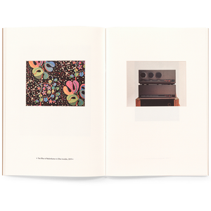 KOENRAAD DEDOBBELEER - WALL / TRIANGLE BOOKS