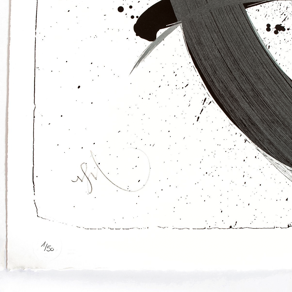 NIELS SHOE MEULMAN - UNAMBIDEXTROUS SHOE BLACK / METALLIC GREY - UNRULY / FINE ART PRINT