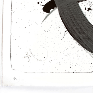 NIELS SHOE MEULMAN - UNAMBIDEXTROUS SHOE BLACK / METALLIC GREY - UNRULY / FINE ART PRINT