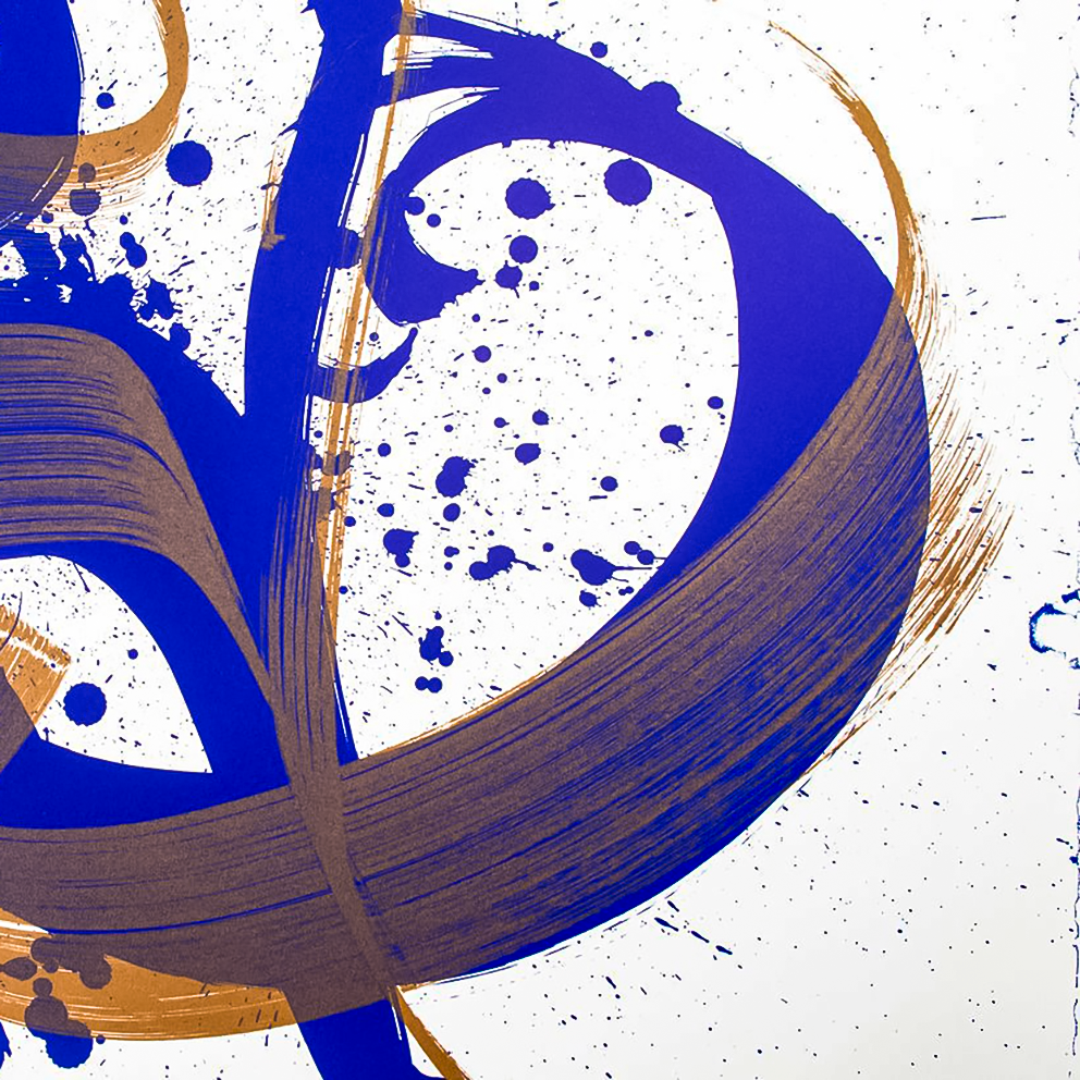 NIELS SHOE MEULMAN - UNAMBIDEXTROUS SHOE BLUE/BROWN - UNRULY / FINE ART PRINT