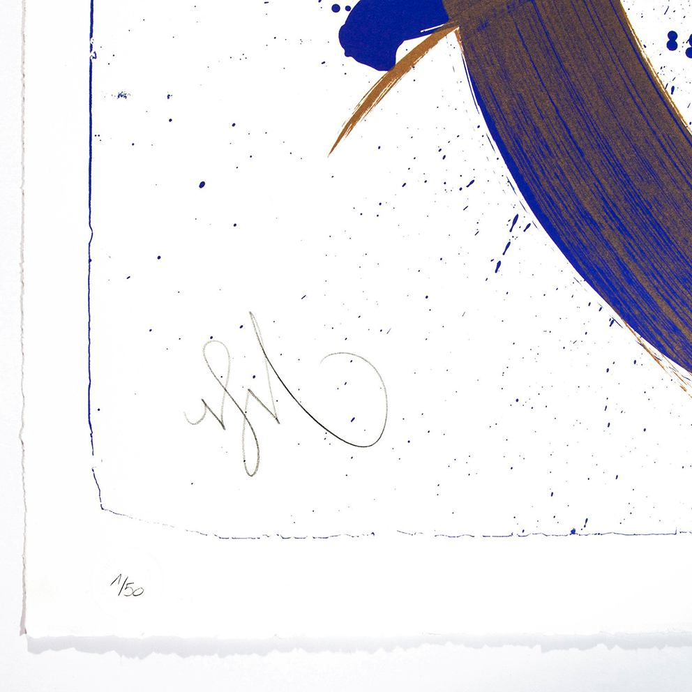 NIELS SHOE MEULMAN - UNAMBIDEXTROUS SHOE BLUE/BROWN - UNRULY / FINE ART PRINT