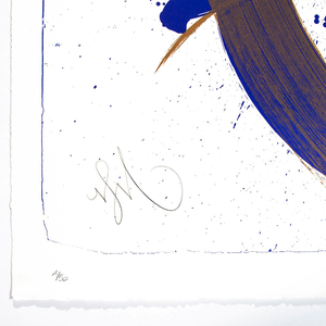 NIELS SHOE MEULMAN - UNAMBIDEXTROUS SHOE BLUE/BROWN - UNRULY / FINE ART PRINT