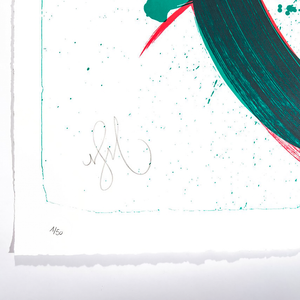 NIELS SHOE MEULMAN - UNAMBIDEXTROUS SHOE GREEEN/RED - UNRULY / FINE ART PRINT